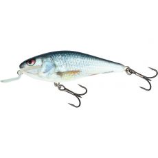 Salmo Wobler Executor Shallow Runner 7cm Real Dace